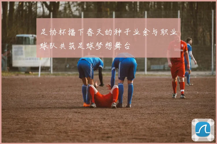 足协杯播下春天的种子业余与职业球队共筑足球梦想舞台