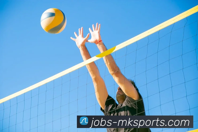 App Interface Preview